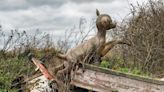 Fly-tipping makes an unholy mess of our countryside