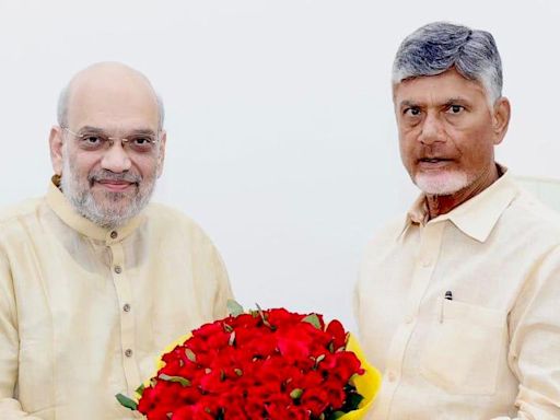 Budget 2024: Chandrababu Naidu urges Centre to extend budgetary support to Andhra Pradesh