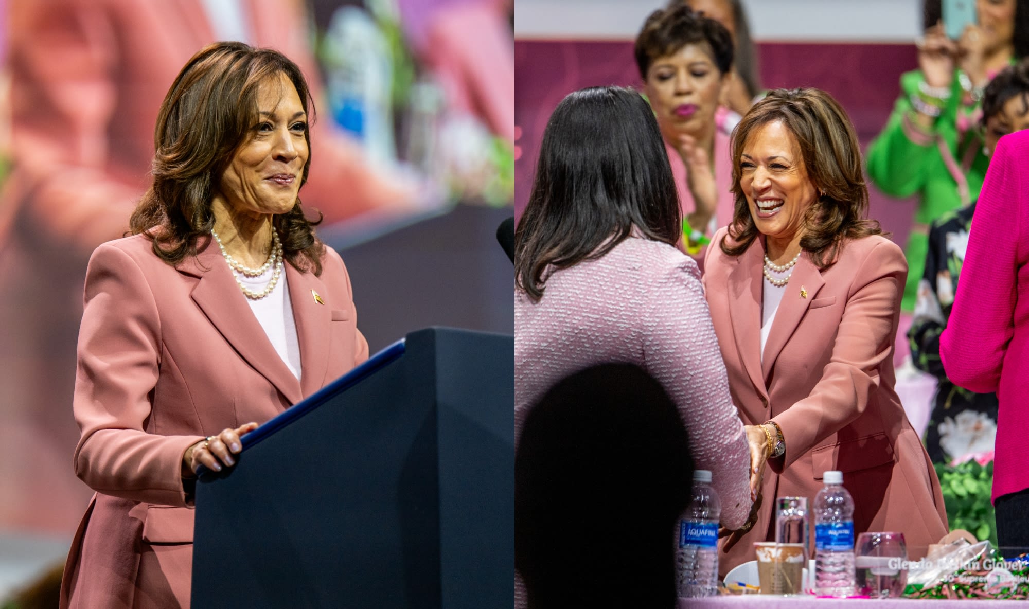 Vice President Kamala Harris Pays Homage to Her Alpha Kappa Alpha Sorority in Pink Suit and Pearls in Dallas