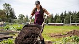 'It nourishes me:' Army nurse revives JBLM community garden beds