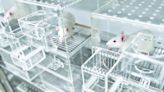 Scientists make disturbing discovery after exposing mice to common household pollutant: 'That tells us it can cross the intestinal barrier'