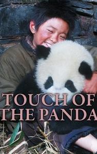 Touch of the Panda