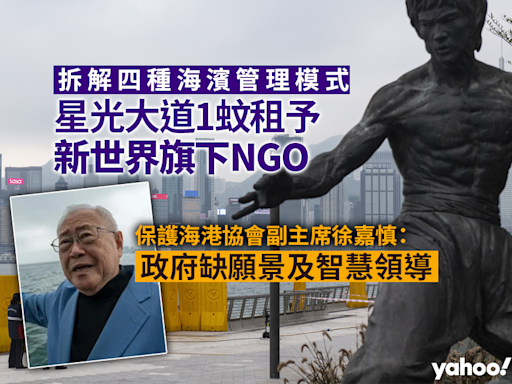 拆解四種海濱管理模式 星光大道1蚊租予新世界旗下NGO 保護海港協會徐嘉慎：政府缺願景及智慧領導｜Yahoo