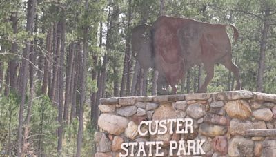 Custer State Park introduces archery hunting this season and expands the number of licenses available