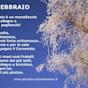 Poesie febbraio