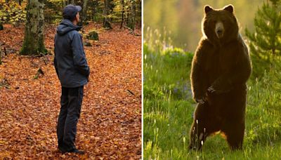 Man or bear? A viral question has spawned scary responses