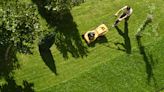 5 common lawn care mistakes almost everyone makes