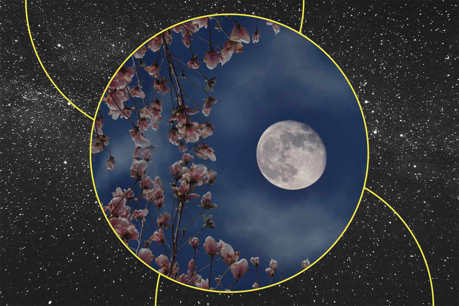 All About May's Full Moon and What It Means for Your Zodiac Sign