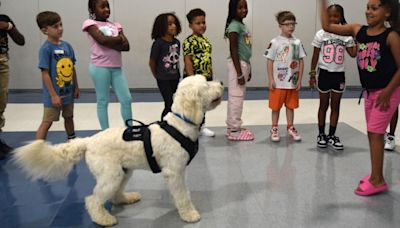 Fuzz therapy: Milo helps local kids get through rough days