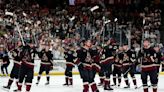 Coyotes' bid for new arena hits another snag with cancelation of land auction