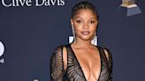 Little Mermaid star Halle Bailey expected the racist backlash to her Ariel casting