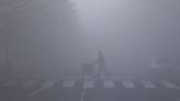 Una densa niebla interrumpe los vuelos y trenes en la capital india