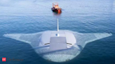 Secret US Navy under sea drone Manta Ray spotted, later disappears from Google Maps