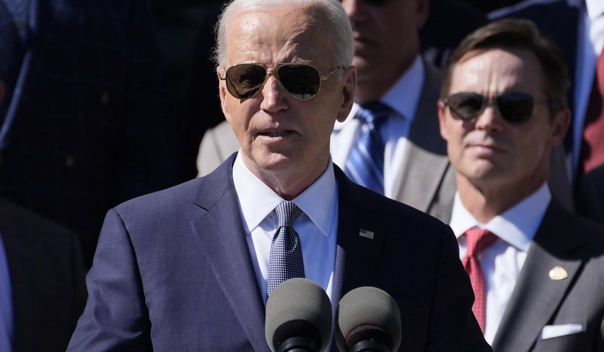 Biden ducks strife at Democratic National Convention with Zoom nomination