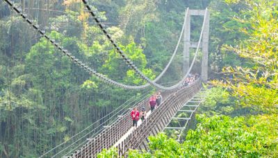 悠遊嘉義阿里山豐山村 盛夏避暑體驗自然之美