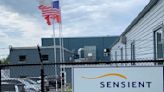 Sensient announces $500,000 investment in Kingston site