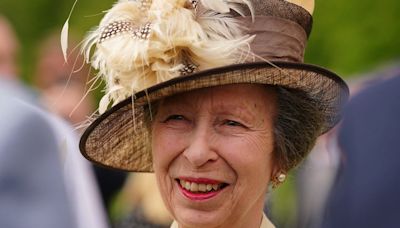 Princess Anne discharged from hospital and recovering after concussion