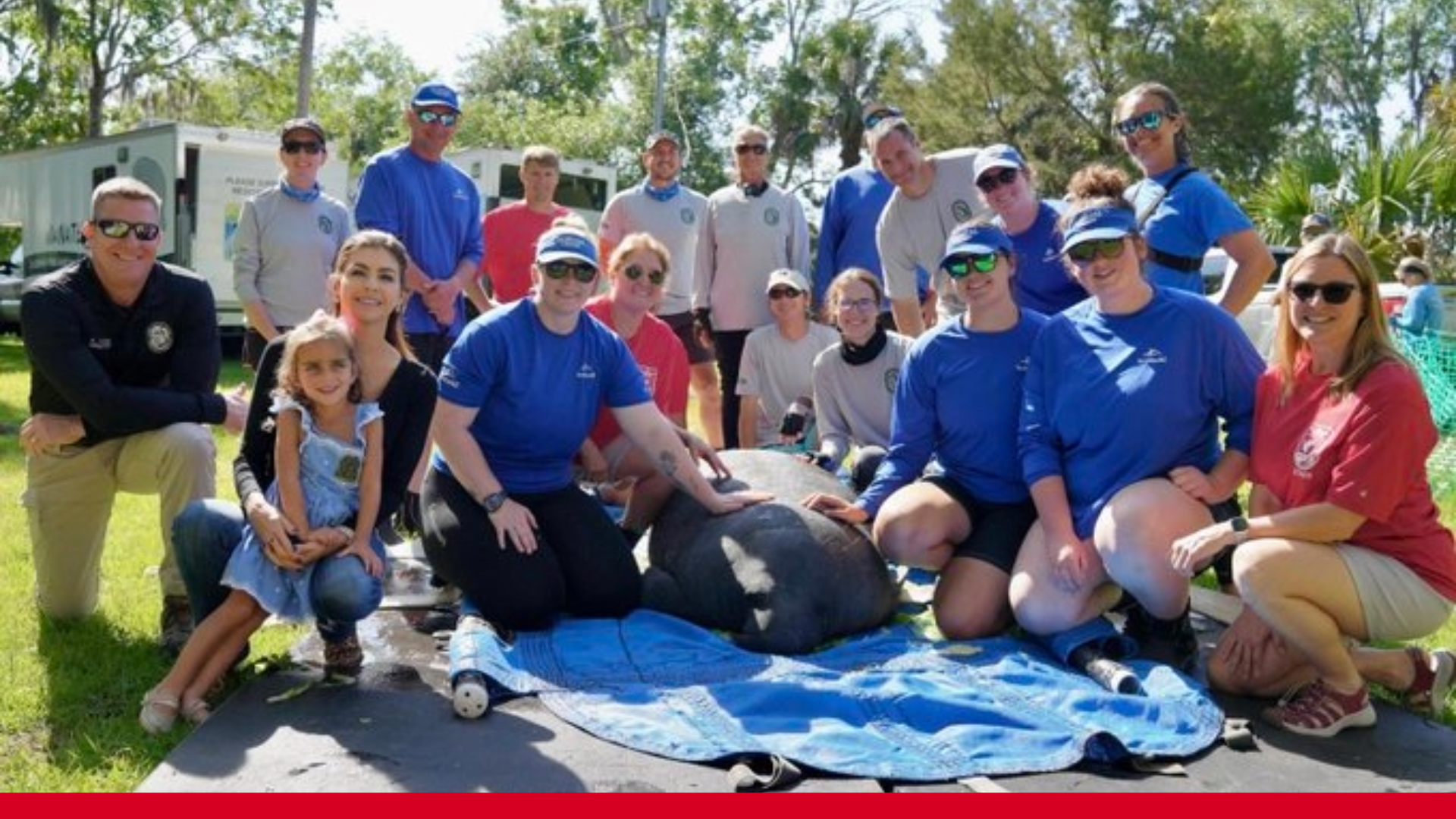 Toast the manatee released by FWC, SeaWorld and Casey DeSantis near Crystal River