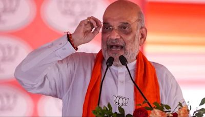 West Bengal Elections 2024: If BJP gets 30 seats, TMC will disintegrate, claims Amit Shah