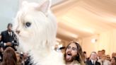 Celebrities on the Met Gala red carpet are losing it over Jared Leto's giant cat costume