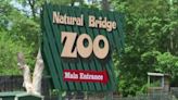 Children of Natural Bridge Zoo founder named as new owners