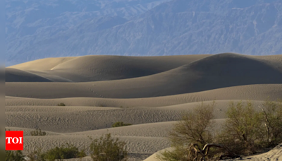 Tourist suffers third-degree burns while walking on blazing hot sand dunes in California's Death Valley - Times of India