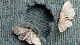 The Bathroom Leftover That Can Prevent Moths From Damaging Your Clothes
