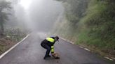 雪山路落石滿地 警徒手清理恢復交通