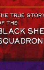 History Undercover: The True Story of the Black Sheep Squadron