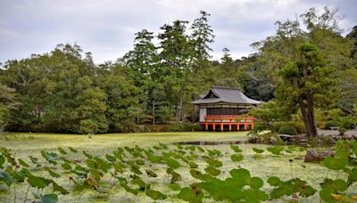 How to get around Japan without upsetting the locals