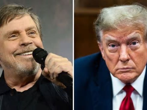 Mark Hamill Mocks His ‘Favorite’ Part of Trump’s ‘Frequent Verbal Catastrophes’: ‘The Recovery’