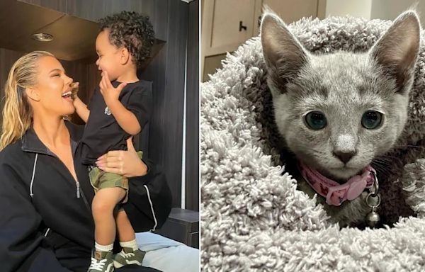 Khloé Kardashian's Son Tatum, 1, Repeats Everything His Mom Says While Playing With Family's New Kitten in Adorable...