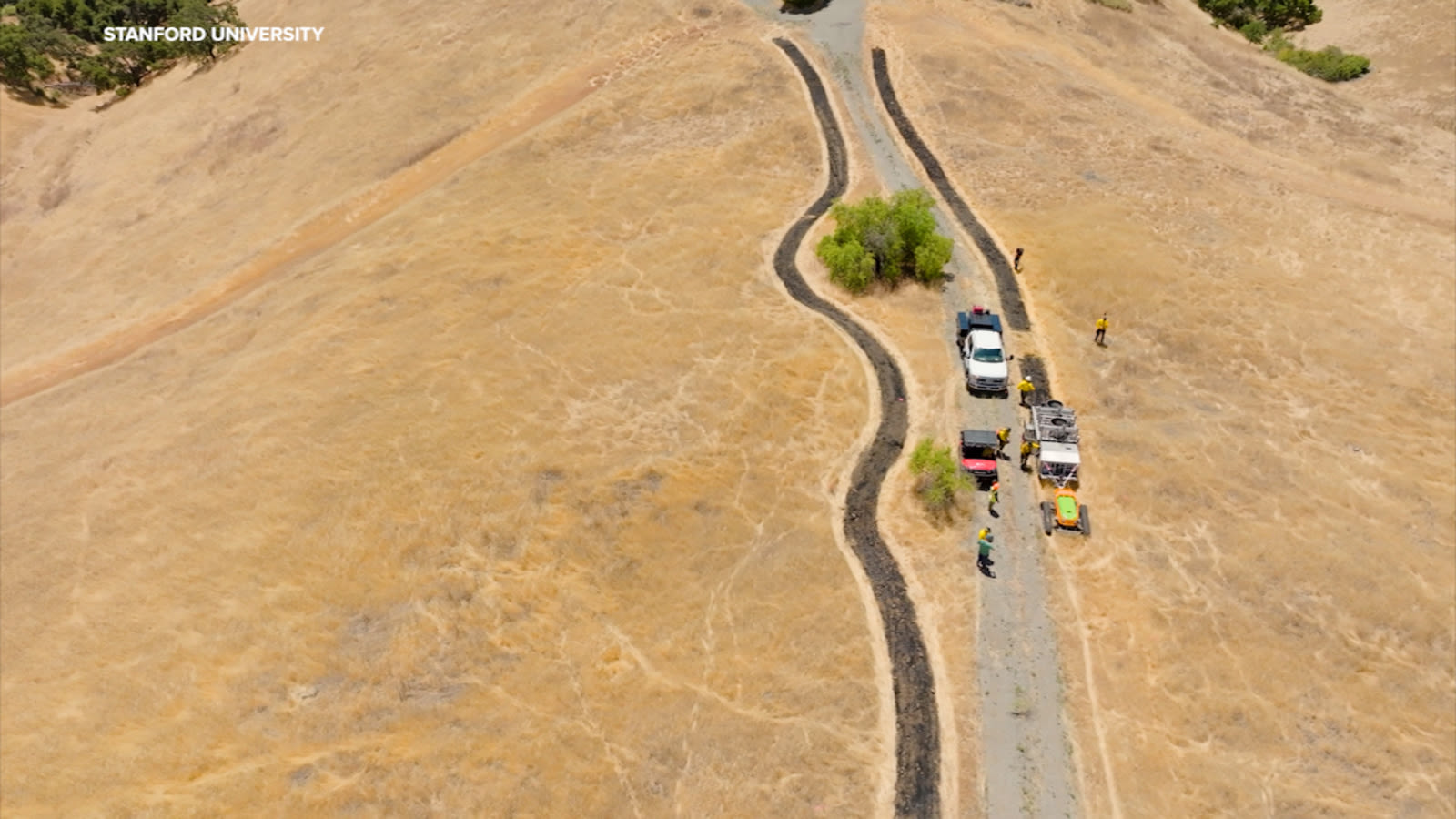 Stanford University burn control experiment could help ecosystem, cut fire risk in years to come