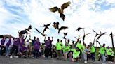 寵物鸚鵡綠島訓飛 百名鳥友交流飼養經驗