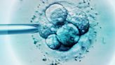 What Fertility Doctors Wish You Understood About IVF