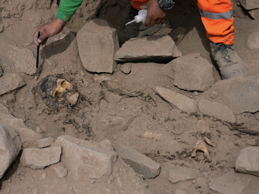 墨西哥國會為何出現秘魯發現的「外星人」遺骨？路透：失控的人類遺骸黑市才是真相