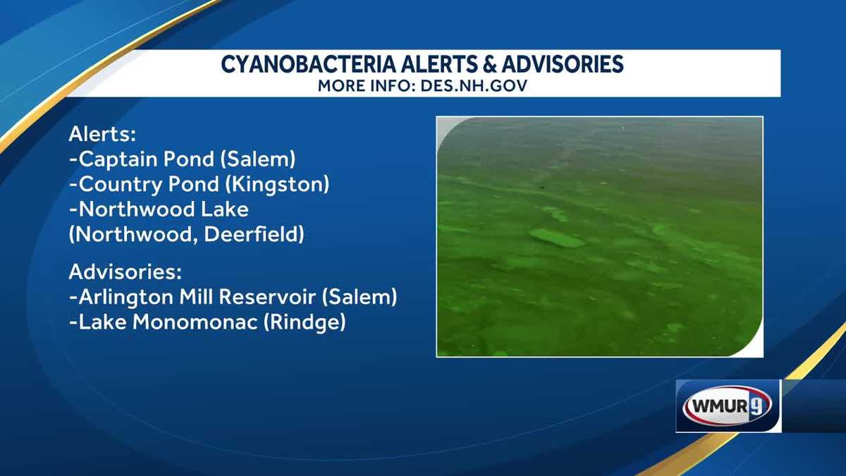 Officials warn swimmers about potential cyanobacteria growths in New Hampshire waters