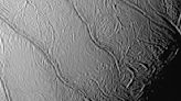 'Tiger stripes' on Saturn's moon Enceladus could reveal if its oceans are habitable