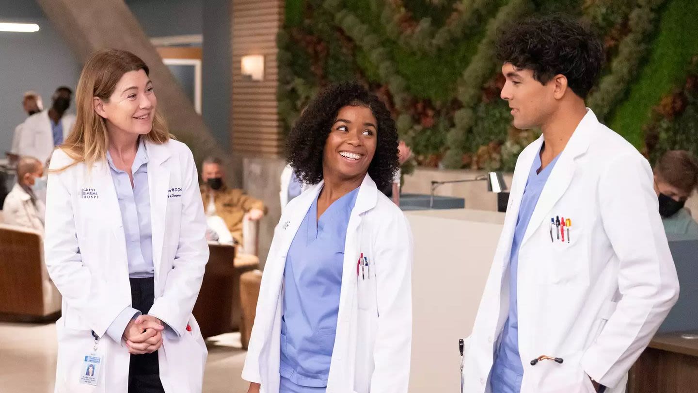 Don't Worry, 'Grey's Anatomy' Fans! ABC Has Officially Revealed When It's Coming Back!