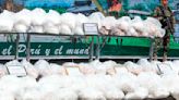 Incautan en Perú más de 800 kilos de droga que iba a ser trasladada a Bolivia