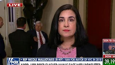 New York is descending into chaos, lawlessness: Rep. Malliotakis