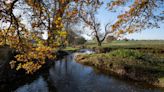 Boy, eight, drowns after falling into River Arrow