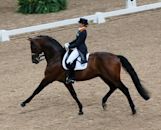 Dressage