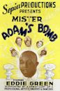 Mr. Adam's Bomb