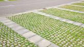 These ‘permeable pavements’ are full of tiny holes — and they might be one of the secrets to preventing flash floods