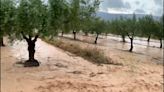 'Tendría que estar lloviendo así durante semanas'