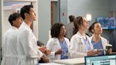 ‘Grey’s Anatomy’ Teases a New Romance for Schmitt