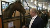 Watch: PM Modi, Putin Pet Horses At Russian President's Residence