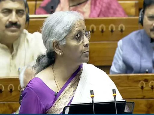 Union Budget 2024: What FM Nirmala took from your pocket, what she gave you | Business Insider India