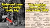 My Little Peanut-Sized Brain Is Completely And Totally Blown After Seeing These 23 Absolutely Fascinating Pictures For The...